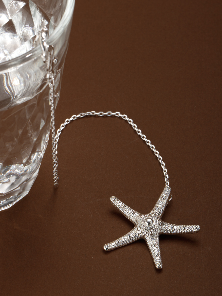 SilverOk Сувенир ювелирный Ионизатор серебряный для воды "Морская звезда"  #1