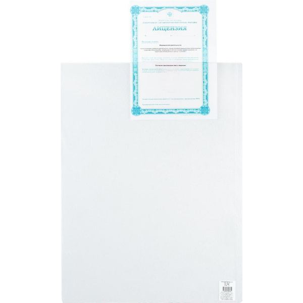 Attache Файл - купить с доставкой по выгодным ценам в интернет-магазине ...