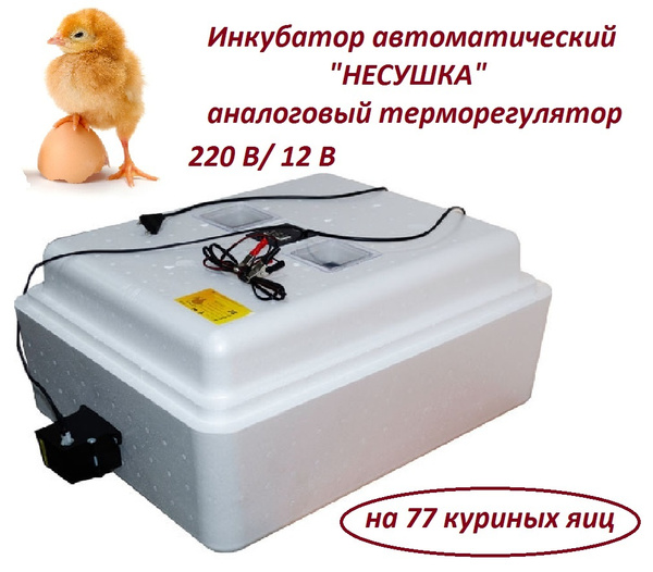 Инкубатор автоматический "Несушка" на 77 яиц, 220 В/12 В, аналоговый ...