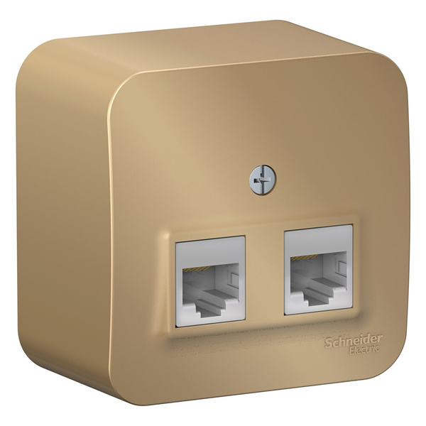 Розетка, SE Blanca наруж Титан Розетка 2-ая компьютерная RJ45, кат.5E ...