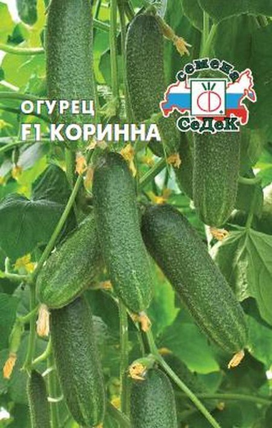 Огурцы Седек Тор28142 .1 - купить по выгодным ценам в интернет-магазине ...