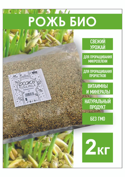 Рожь Озимая Семена ржи БИО, 2 кг. для проращивания микрозелени ...