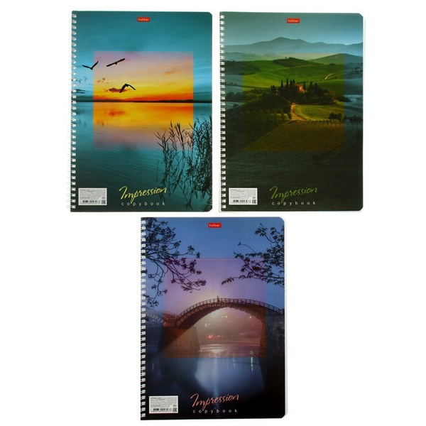 Тетрадь Hatber A4 (21 × 29.7 см), 1 шт., листов: 80 - купить с ...