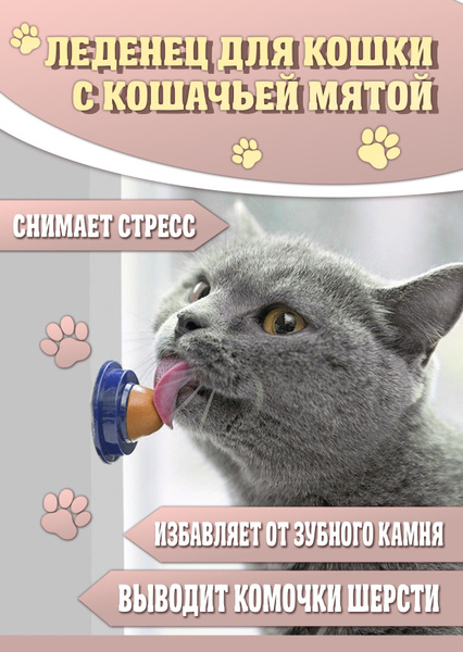 Леденец для кошки с кошачьей мятой. Мята для кота. Лакомство, для ...