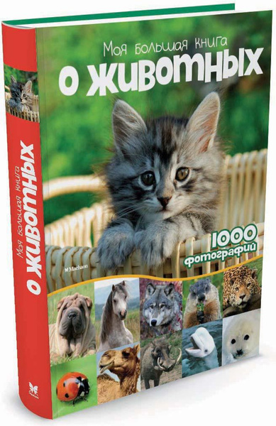 Моя большая книга о животных | Куйе Наталья купить на OZON по низкой ...