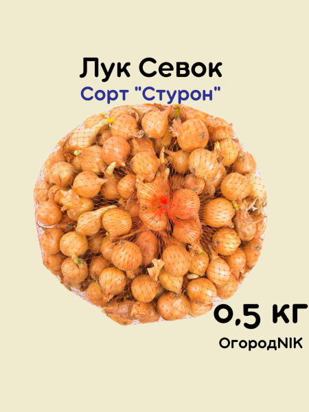 Луковицы Лук севок купить по выгодной цене в интернет-магазине OZON ...