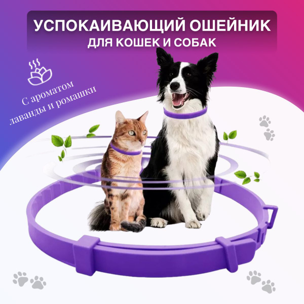 Успокаивающий ошейник для кошек
