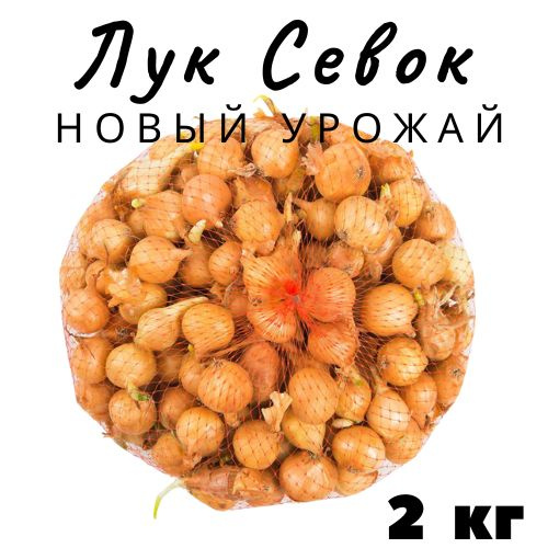 Лук Севок 2 кг купить на OZON по низкой цене (858368445)