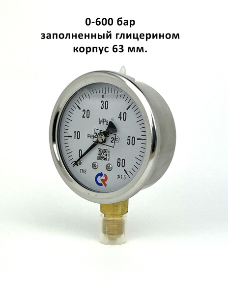 Манометр гидравлический виброустойчивый ТМ-320Р от 0 до 60 МПа (600 бар ...
