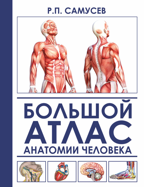 Большой атлас анатомии человека. 2-е издание, исправленное и ...