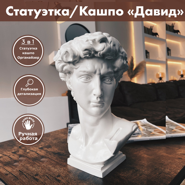 Характеристики "Голова Давида" Кашпо, Органайзер, Ваза, Голова для ...