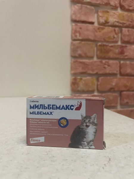Купить мильбемакс для кошек
23