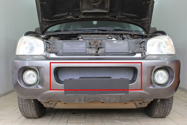 Защитная сетка радиатора низ хром Hyundai Santa Fe (2000-2006 ...