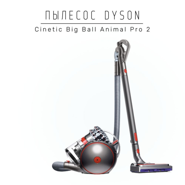 Пылесос Dyson Cinetic Big Ball Animal Pro 2, серый - купить с доставкой ...