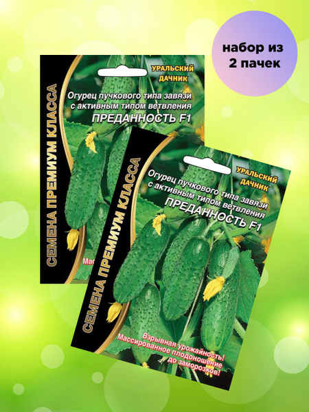 Цена огурец грунтовый за 1 кг - купить по низкой цене на Яндекс Маркете