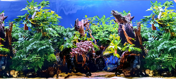 Фон для аквариума или террариума, 120х50 см, односторонний, "Растения с ...