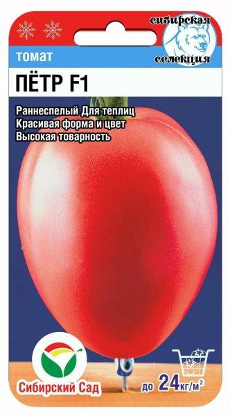 Томат петр отзывы фото