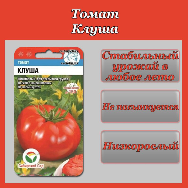 Томат Суперприз Отзывы Фото Урожайность