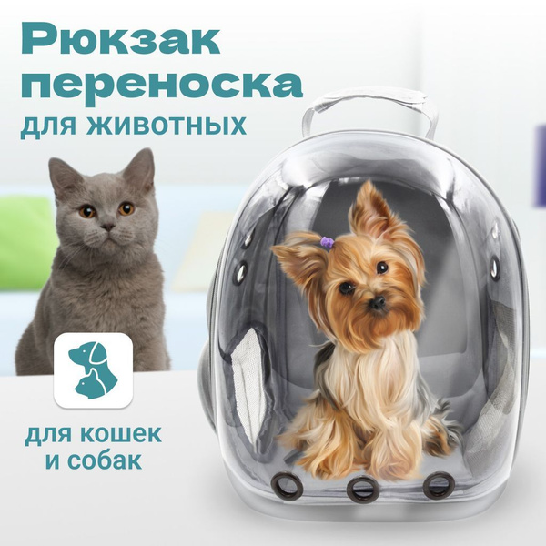 Характеристики Сумка переноска для кошек и собак мелких пород, для кота ...
