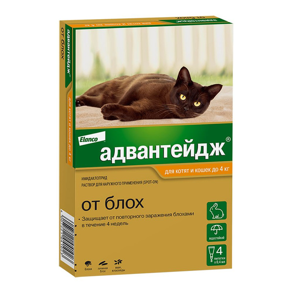 Адвантейдж 40 для кошек до 4 кг 4 пипетки, в упаковке - купить с ...