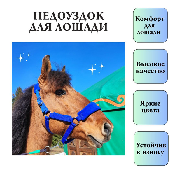 Мягкий недоуздок для лошади, размер Pony - купить с доставкой по ...
