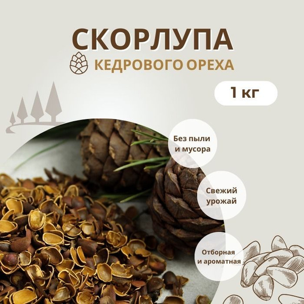 Скорлупа кедрового ореха, 1к г , Используется для приготовления настоек ...