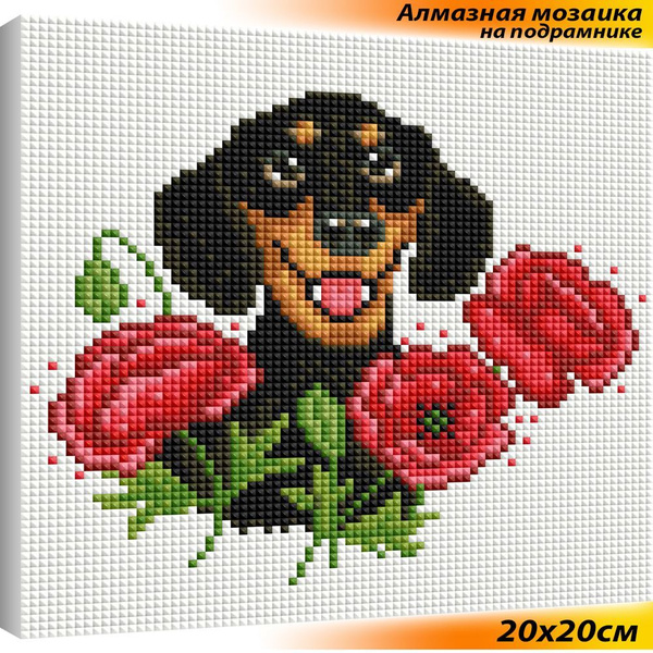 Алмазная мозаика на подрамнике 20х20 полная выкладка / животные / Такса ...