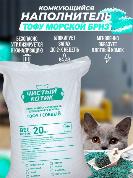Чистый котик