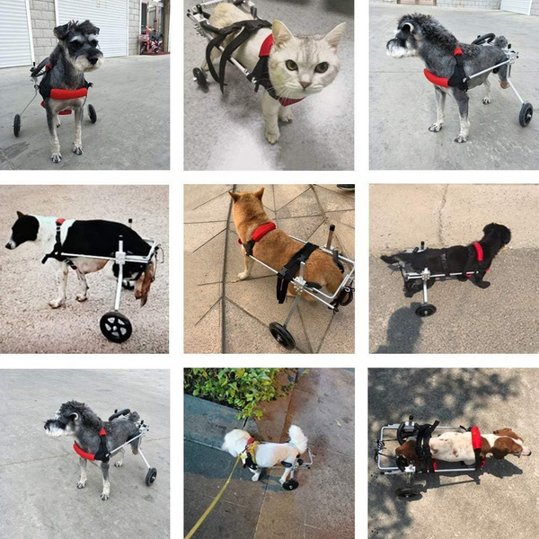 Инвалидная коляска для животных купить на OZON по низкой цене (1751041232)