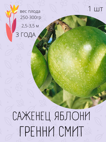 Клубни купить по выгодной цене в интернет-магазине OZON (1191300277)
