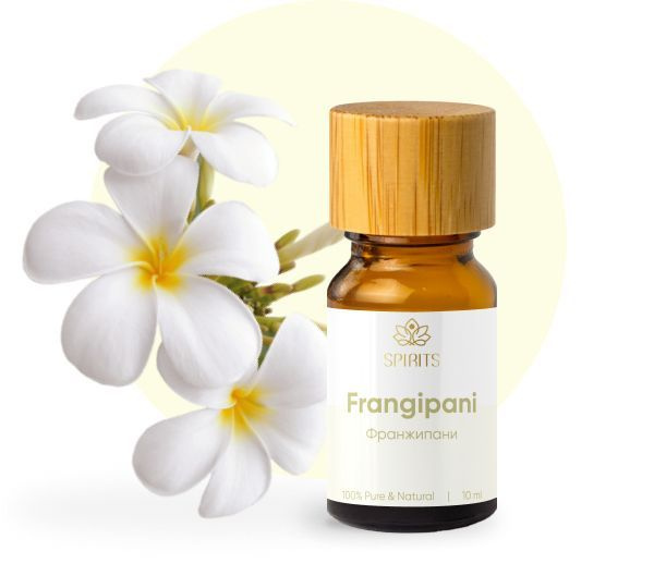 абсолют франжипани. эфирное масло франжипани. эфирное масло франжипани. франжипани эфирное масло. эфирное масло тайланд франжипани.
