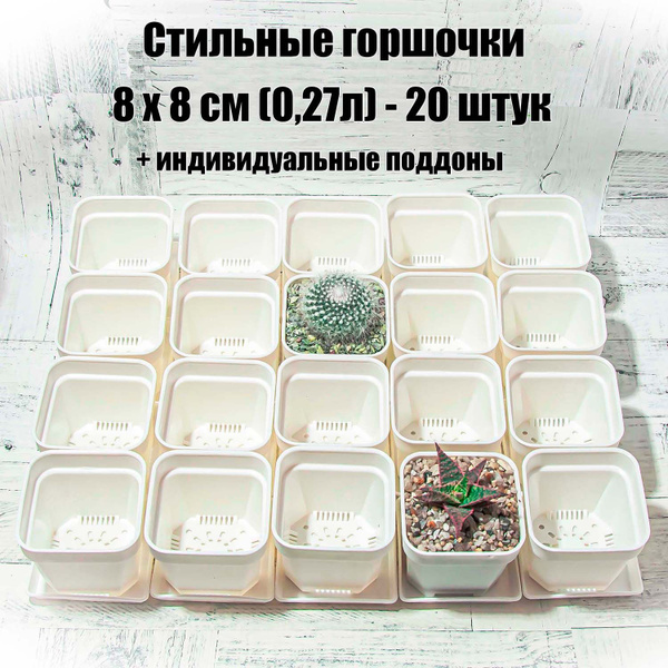 Стильные белые горшочки для суккулентов, кактусов, фиалок с ...