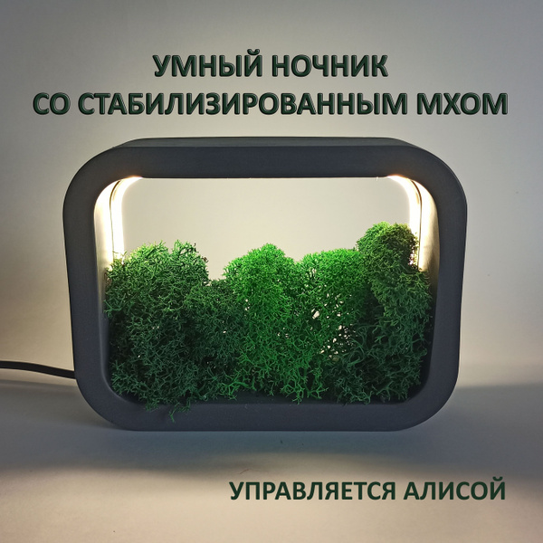 Купить Умный ночник со стабилизированным мхом. Ночник Алиса, 12 В по ...