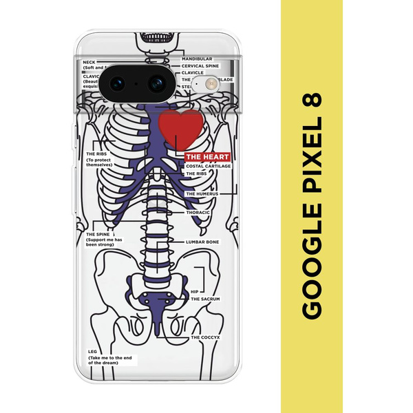 Силиконовый чехол на Google Pixel 8 / Гугл Пиксель 8 "Скелет человека ...