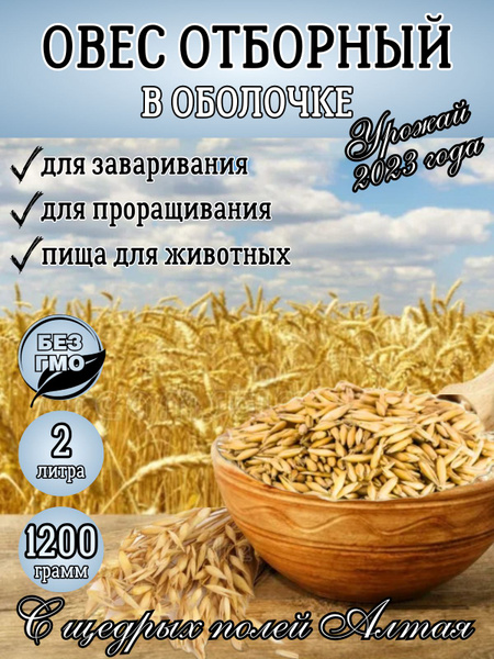Овес для заваривания и настоя, овес для проращивания. - купить с ...