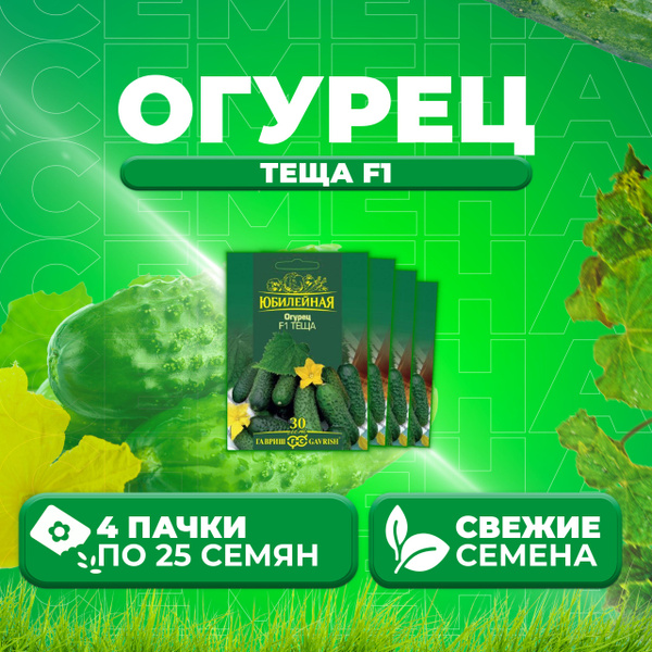 Огурцы Теща Отзывы Фото