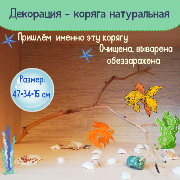 Декорация-коряга из натурального дерева для аквариума/террариума ...