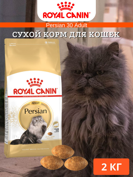 Сухой корм royal canin для кошек персидской породы persian adult 30 2кг ...