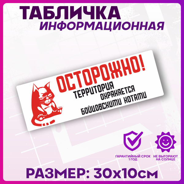 Таблички информационные Осторожно злой кот, 30 см, 10 см - купить в ...