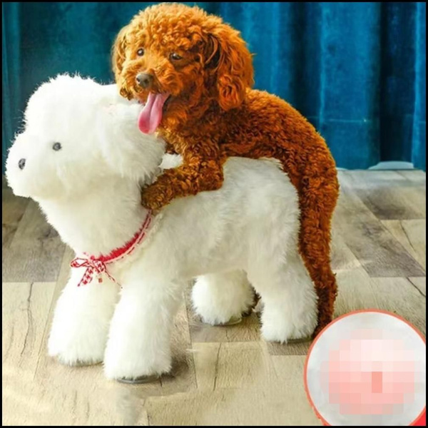 Секс-игрушка для собак, секс-игрушка, Мужская собака - купить с ...