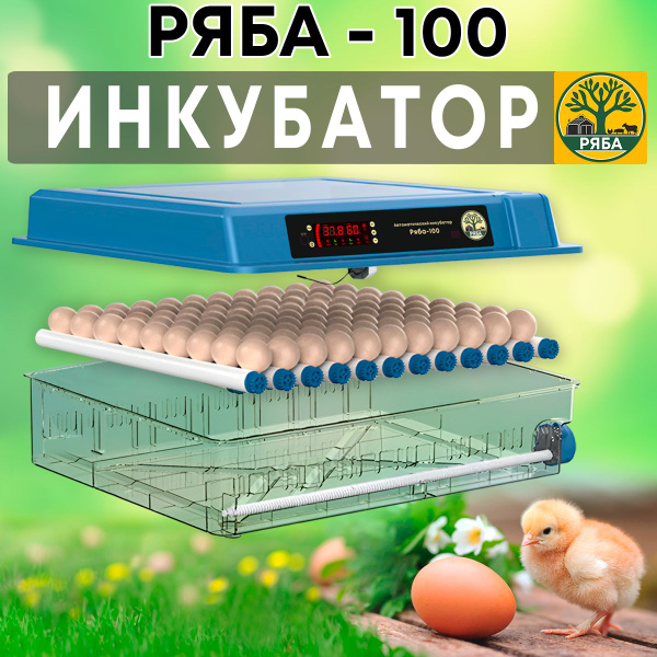 Инкубатор для яиц автоматический Р100 с терморегулятором, гигрометром ...
