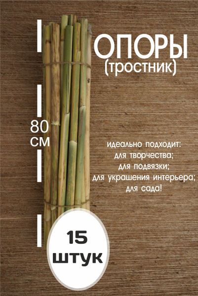 Украшение настольное интерьерное Тростник - купить по доступным ценам в ...