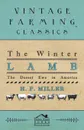 The Winter Lamb. The Dorset Ewe In America - H. P. Miller