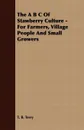 The A B C of Stawberry Culture - For Farmers, Village People and Small Growers - T. B. Terry