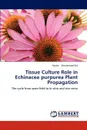 Tissue Culture Role in Echinacea Purpurea Plant Propagation - Mohammad