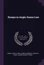 Essays in Anglo-Saxon Law - Henry Cabot Lodge, James Laurence Laughlin, Henry Adams