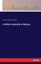 A White Umbrella in Mexico - Francis Hopkinson Smith