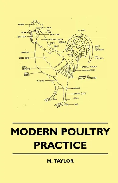 Обложка книги Modern Poultry Practice, M. Taylor