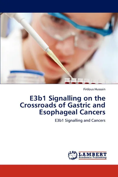 Обложка книги E3b1 Signalling on the Crossroads of Gastric and Esophageal Cancers, Firdous Hussain