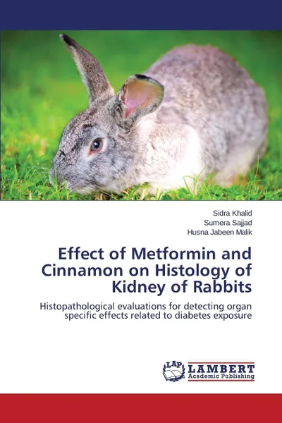 Обложка книги Effect of Metformin and Cinnamon on Histology of Kidney of Rabbits, Khalid Sidra, SAJJAD SUMERA, Malik Husna Jabeen